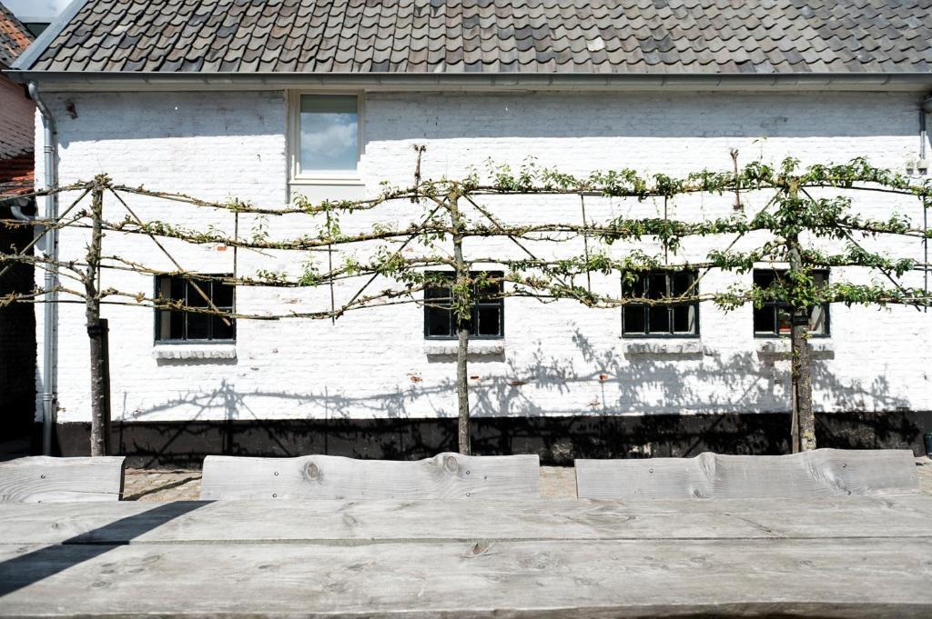 Pensjonat Cour 8 Lofts Maastricht Pokój zdjęcie